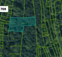 Map of agricultural and forest land in Omastiná with the plot E 709 marked.