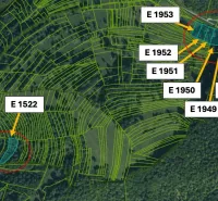 Cadastral map of agricultural and forest lands near Omastiná with numbered plots.