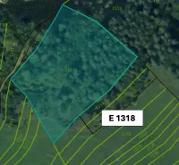 Cadastral map of agricultural and forest land in Omastiná with parcel E 1318.