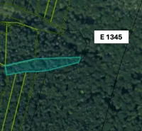 Aerial photograph of agricultural and forest lands around Omastiná.