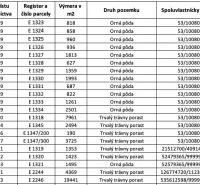 Table with information about land plots in Omastiná: areas, types, and co-ownership shares.