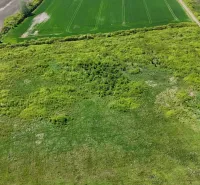 A view of agricultural and forest land in Zemplínske Kopčany with visible green fields.