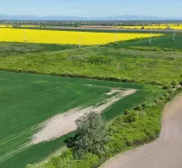 Extensive agricultural and forest lands in Zemplínske Kopčany with a variety of field colors.