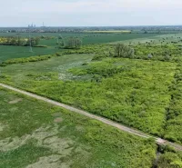 Agricultural and forest lands in Zemplínske Kopčany with visible electric poles and a road.