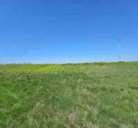 A wide grassy field in Zemplínske Kopčany, agricultural and forest lands with a tower.