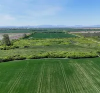 Vast green agricultural areas and forest lands around Zemplínske Kopčany.