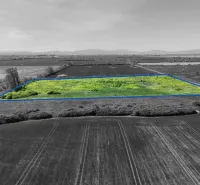 Agricultural and forest lands in Zemplínske Kopčany with a marked section on a vast field.