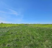 Green fields and blue sky on agricultural land near Zemplínske Kopčany.