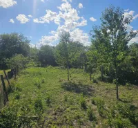 Plots - housing in Hronovce with grassy area, trees, and fencing under a blue sky.