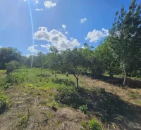 Lands - housing in Hronovce, green areas with young trees under a clear sky.