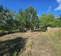 Plots - housing in Hronovce with grass cover and numerous trees.