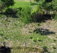Greenery and trees in Hronovce on residential plots, fenced plot.