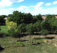 Greenery and trees in Hronovce create a natural atmosphere for residential plots.