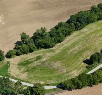 Agricultural and forest land in Nová Ves nad Váhom with a road amidst green trees.
