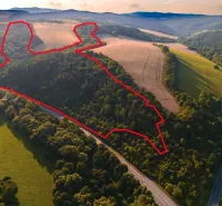 Agricultural and forest land around Rokycany, gently undulating terrain with greenery and a road.