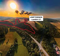 Aerial view of agricultural and forest land near Rokycany at sunset.