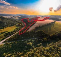 Agricultural and forest lands in Rokycany surrounded by forests and a road at sunset.