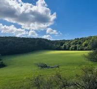 A green meadow surrounded by forests under a blue sky in Lúčky, agricultural and forest lands.