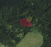 Satellite view of agricultural and forest lands in Poniky with a marked parcel.