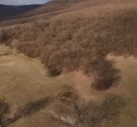 Agricultural and forest lands in Príbelce surrounded by forests and meadows with dirt roads.