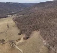 A view of agricultural and forest lands in Príbelce, bordered by trees and meadows.