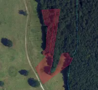 Orthophotomap of agricultural and forest land in the Príbelce area.