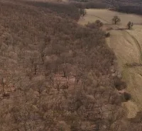 The forest and the dirt road on agricultural and forest lands around Príbelce.