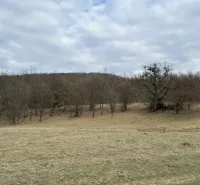 Agricultural and forest lands in Príbelce with bare trees under a cloudy sky.