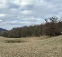 Nature in Príbelce with agricultural and forest lands, sky covered with clouds.