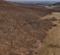 The Jesenitý forest and the peaceful landscape are surrounded by agricultural and forest lands in Príbelce.