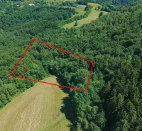 Aerial view of agricultural and forest land in the ski area Lysá pod Makytou.