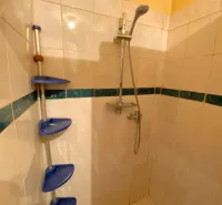 Shower corner with blue shelves and tiles, family house.