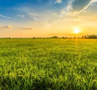 Sunset over agricultural and forest lands in Šávoľ with a vast green meadow.