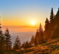 Sunset over the forest lands near Zábiedovo with a gentle mist among the trees.