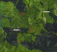 Aerial view of agricultural and forest lands around Zábiedovo.