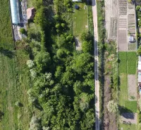 Aerial photograph of gardens with lush greenery in the town of Branč.