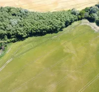 Agricultural and forest lands in Kozárovce with greenery and field roads.