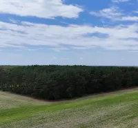 The greenery of the forest on agricultural and forest lands near Lozorno, blue sky.