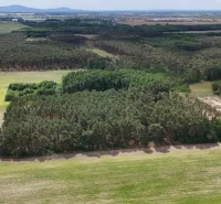 Agricultural and forest lands near Lozorno include a landscape with forests and fields.