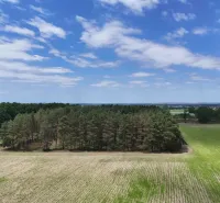 Agricultural and forest land in Lozorno with green fields and trees under a blue sky.