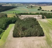 Greenery and fields on agricultural and forest lands near Lozorno create a natural scenery.