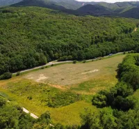 Agricultural and forest land in Žitná - Radiša with dense forest cover and a road.