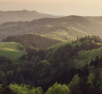 Green hills and forests at sunset around Koňuš, agricultural and forest lands.