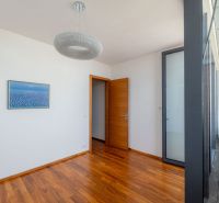 A room in a 2-room apartment with a wooden decor floor, a painting, and glass doors.