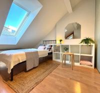 Attic room with a skylight, bed, and shelving cabinet, floor with wooden decor.