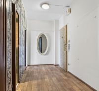 A hallway in a one-room apartment with a wooden decor floor and a decorative mirror.