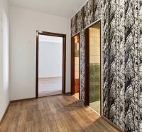 A hallway in a one-room apartment with nature-themed wallpaper and a wooden decor floor.
