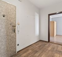 Entrance hallway, 1-bedroom apartment, wooden decor flooring, simple doors, white walls.
