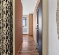 A hallway in a one-room apartment with a wooden decor floor and a striking wallpaper.