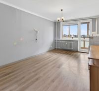 Living room with wood-patterned flooring in a studio apartment, gray walls, window with radiator.